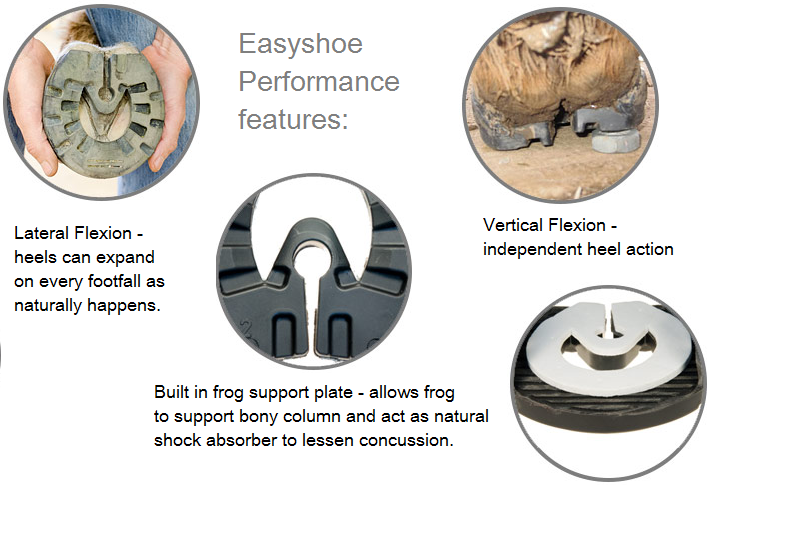 Easyshoe Performance features