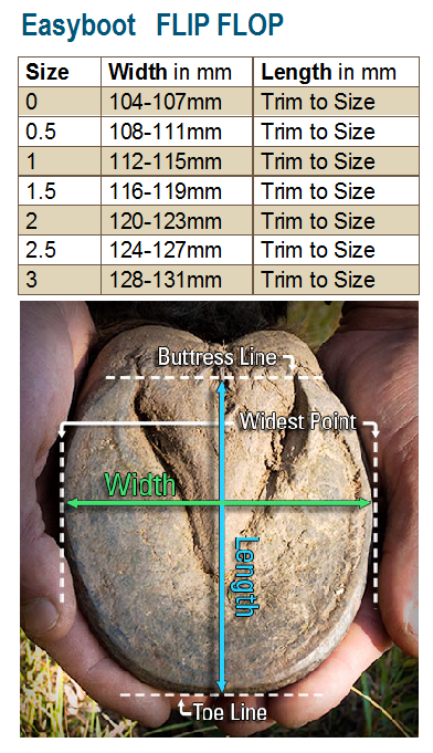 Flip Flop sizing