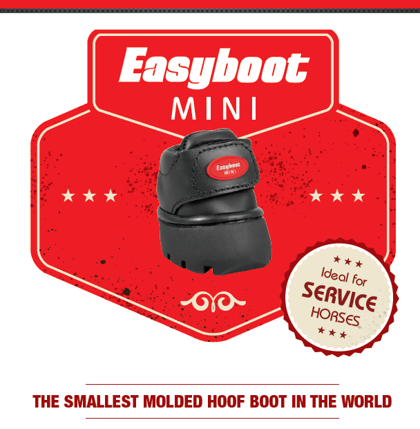 mini red graphic