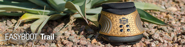 New Trail Boot Banner