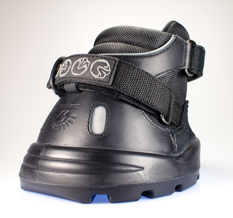 transition boot front