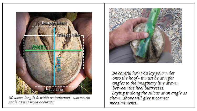 Measuring Graphic part one