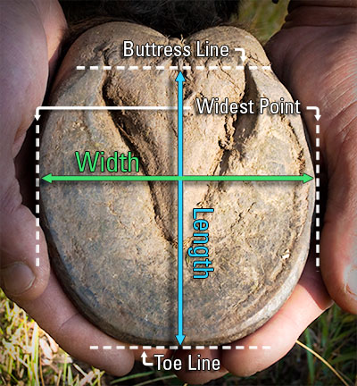 How to Measure