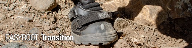 Transition Boot main image
